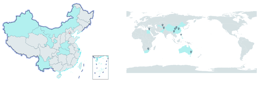 Global Service Network Map