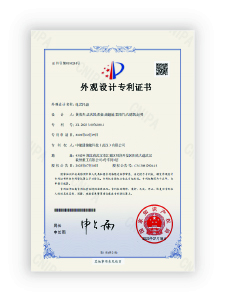 Patent