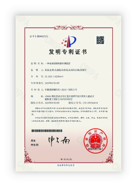 Patent
