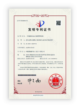 Patent