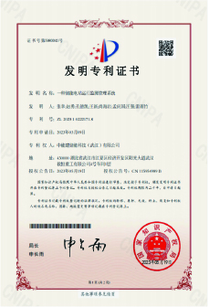 Patent