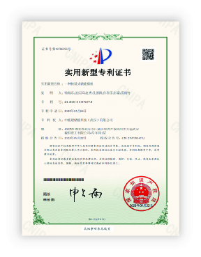 Patent