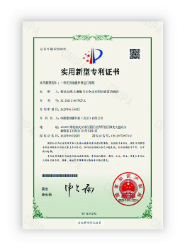 Patent
