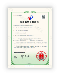Patent